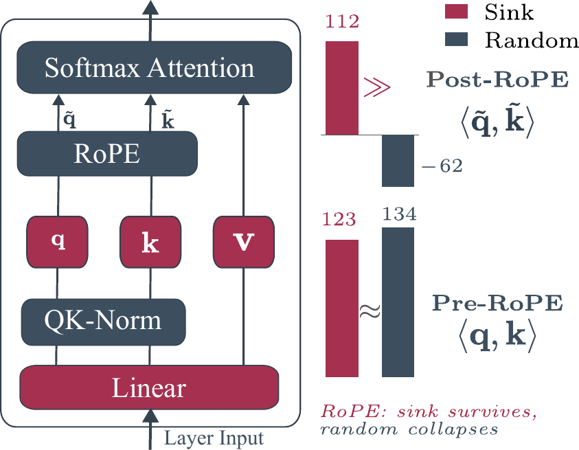 DiT attention block diagram showing pre/post RoPE dot products